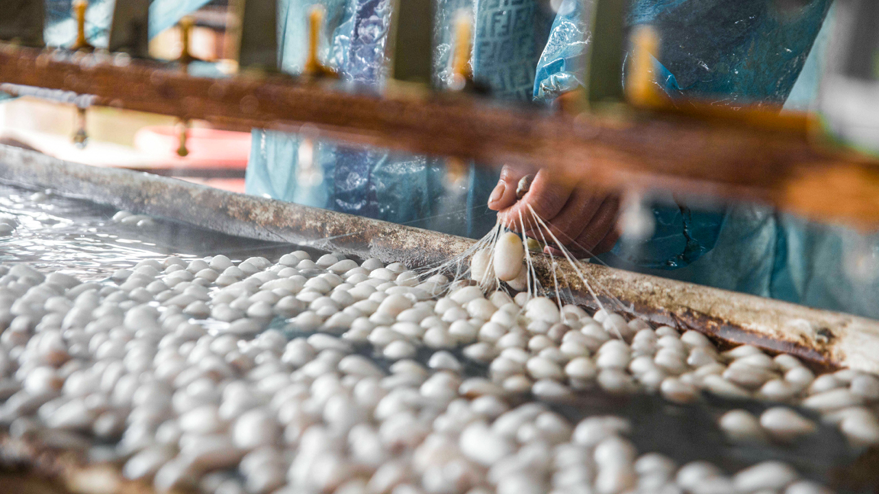 qua-trinh-san-xuat-vai-lua-to-tam-tai-Ninh-Binh-4