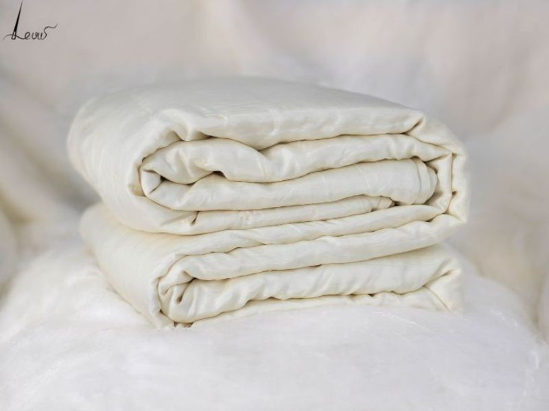 Chăn Tơ Tằm Của Việt Nam được Nhiều Người Chọn Lựa