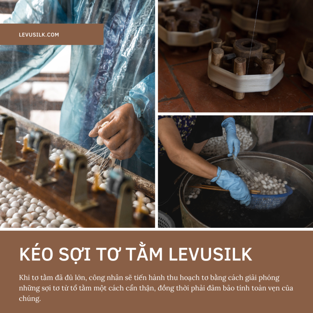 Vải Sợi Tơ Tằm Levusilk Công đoạn Kéo Sợi Tằm